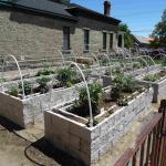 Carson-City-OTRA-Part-3 (July 05, 2023)